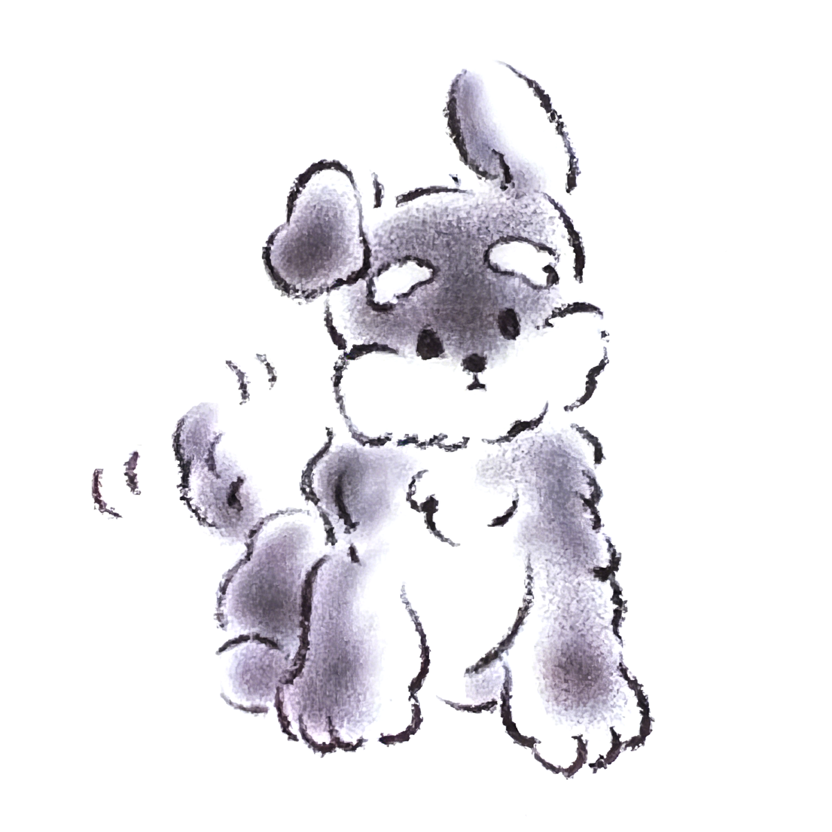 Cute Schnauzer Puppy