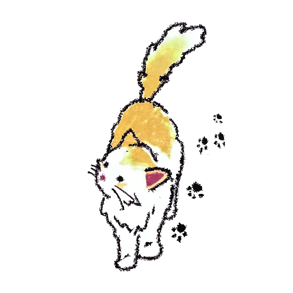 Walking Fluffy Kitten