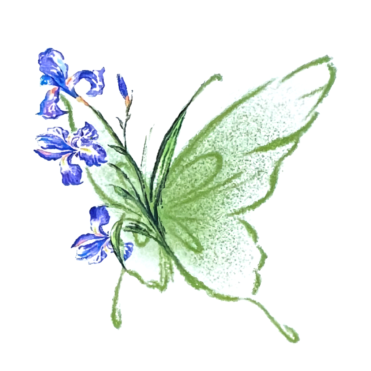 Watercolour Iris Floral Butterfly