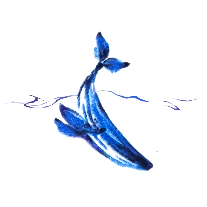 Blue Whale Breaking Surface